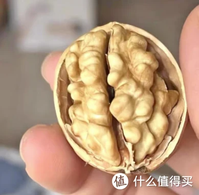 核桃的食用方式:简单易上手,即食甚至煲汤,总有一种方式是你想不到呢~