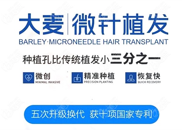 北京大麦微针植发价格