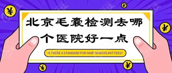 北京毛囊检测去哪个医院好一点