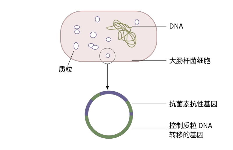 7_JRLZEmCeXg1sIGcuualpF496xnheeA.png