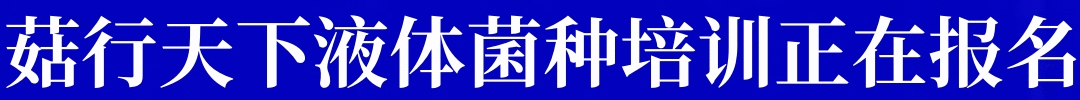 液体菌种培训