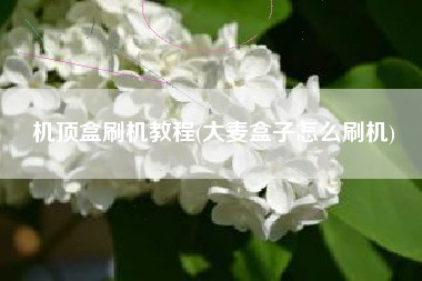 机顶盒刷机教程(大麦盒子怎么刷机)