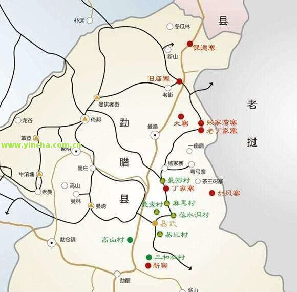 多依树古树茶2020年价格与口感分析，高杆茶品种的价格走势