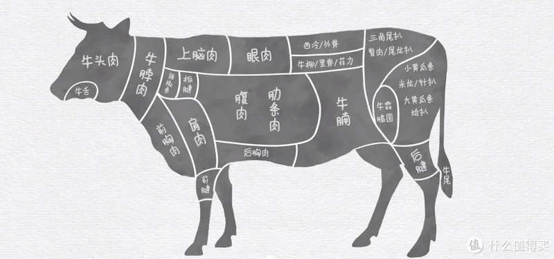 牛头、牛颈、牛上脑,牛的部位这么复杂怎么选,适合怎么做。
