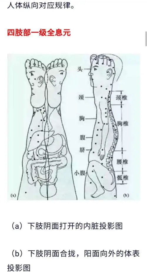 人体腿部位名称大全图解 腿部各个部位名称图