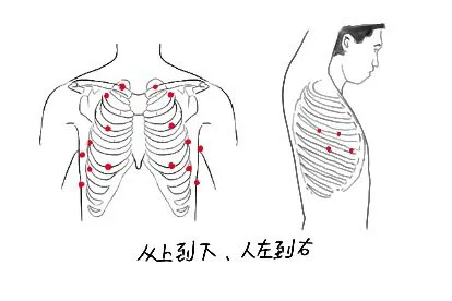 胸前听诊的顺序示意图
