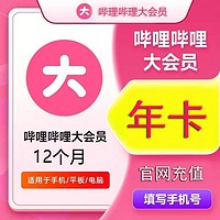 哔哩哔哩大会员 bilibili B站一年