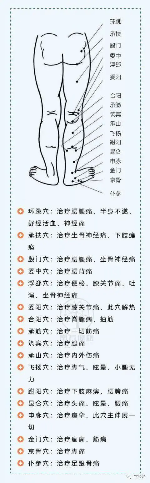 人体腿部位名称大全图解 腿部各个部位名称图