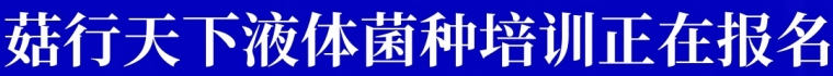 液体菌种培训
