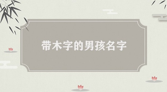 带木字男孩名字