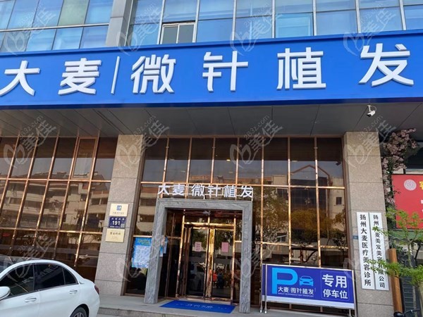 扬州大麦微针植发怎么样