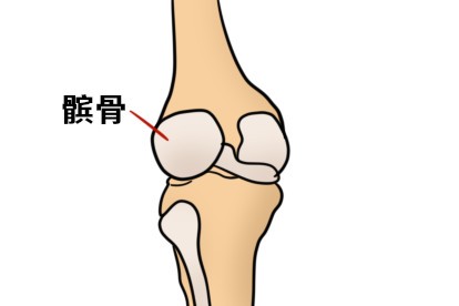 髌骨部位图