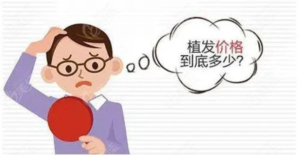 青岛大麦微针植发价格