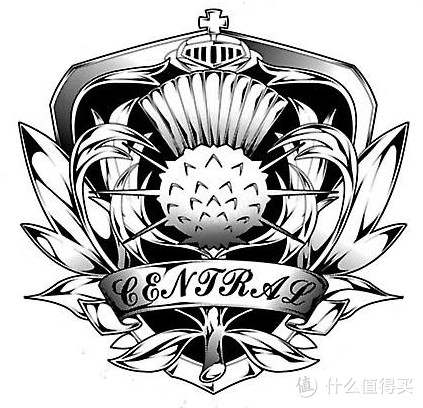 #热征##啤酒#啤酒杯的三千世界：从分类到选购
