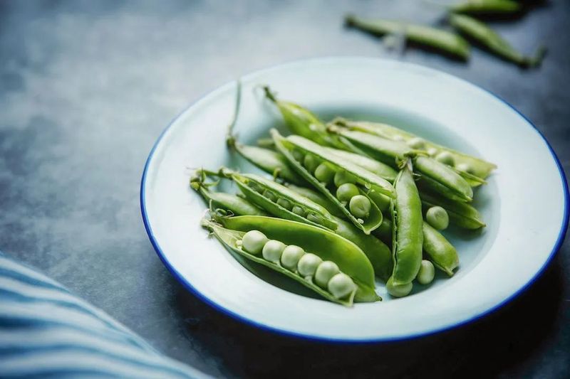 应时食豆，鲜美可口 ©图虫创意