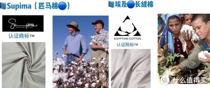 床上四件套选购攻略!四件套的面料该如何选?100支选单股还是双股?高颜值高品质四件套推荐!