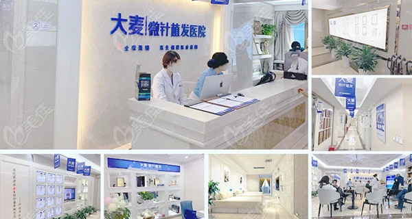 北京大麦微针植发价格