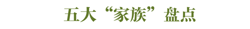 什么？花生、凉薯也算豆类？