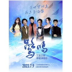 三亚 | 2023三亚之夜群星演唱会(王心凌/李克勤/张信哲/张韶涵/朴树/隔壁老樊)