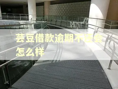 芸豆借款逾期不还会怎么样