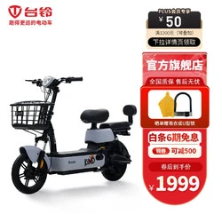 TAILG 台铃 大麦电动车新国标可上牌电动自行车时尚轻便48V20AH小型电瓶车自行车 P韵彩灰/F哑黑