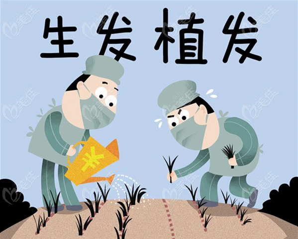 青岛大麦植发价格查询
