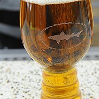 #热征##啤酒#啤酒杯的三千世界：从分类到选购