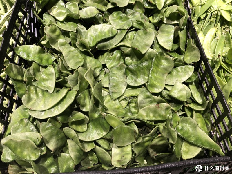 芸豆、豆角、四季豆，南北叫法差异大，看它们到底谁是谁？
