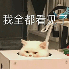 全国热门脱口秀推荐指南（五十一）