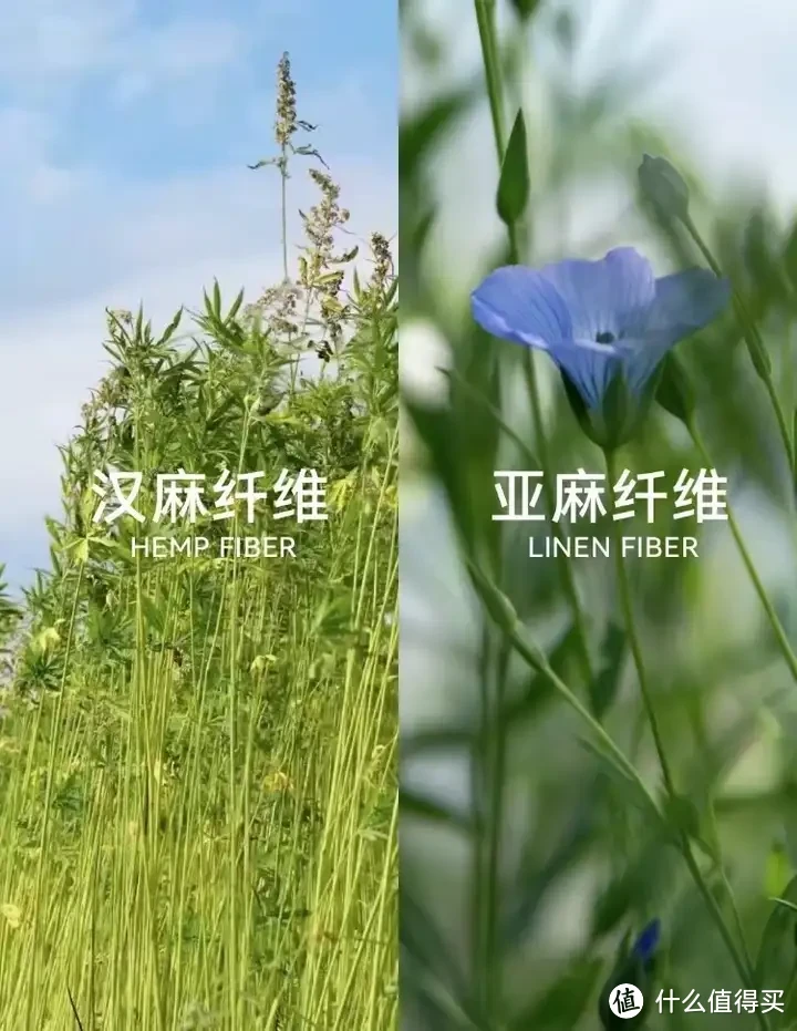 床上四件套选购攻略!四件套的面料该如何选?100支选单股还是双股?高颜值高品质四件套推荐!