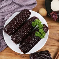 KEEP W-VILLAGE GO 守望乡村 东北玉米 甜糯香鲜嫩玉米200g*10支  真空粗粮营养早餐玉米棒 黑糯玉米