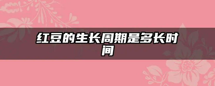 红豆的生长周期是多长时间