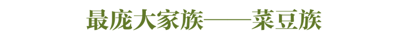 什么？花生、凉薯也算豆类？