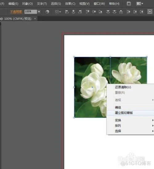 AI illustrator 如何裁剪图片（扣取局部区域）_剪切图片_03