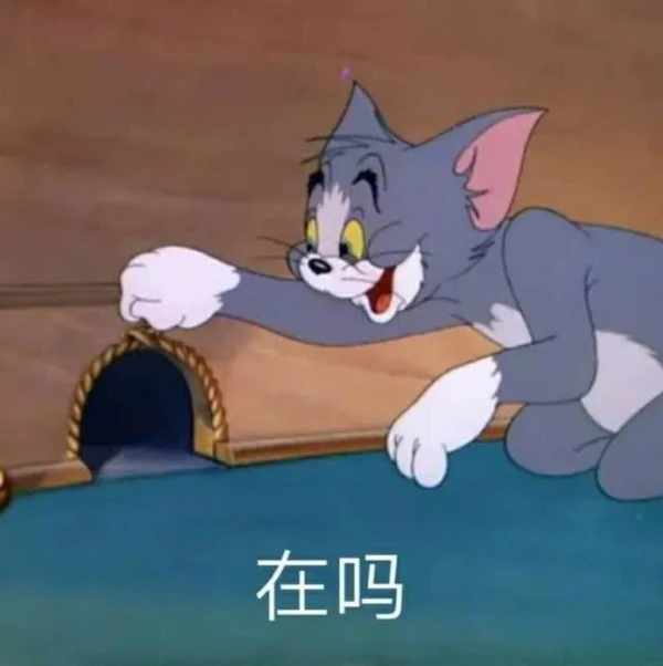 全国热门音乐节推荐指南（十三）