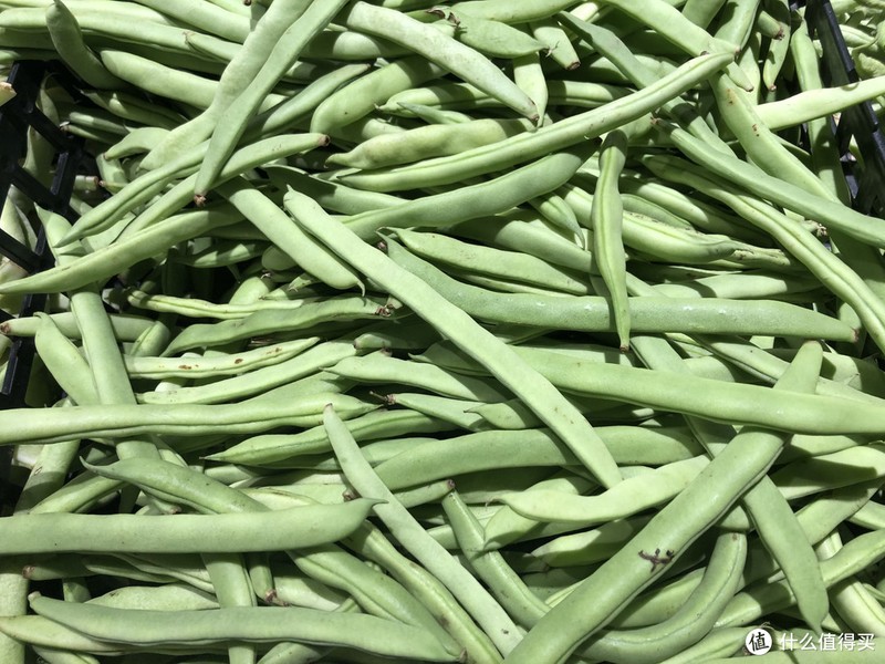 芸豆、豆角、四季豆，南北叫法差异大，看它们到底谁是谁？