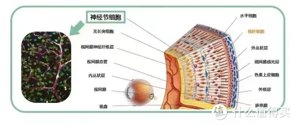 床上四件套选购攻略!四件套的面料该如何选?100支选单股还是双股?高颜值高品质四件套推荐!