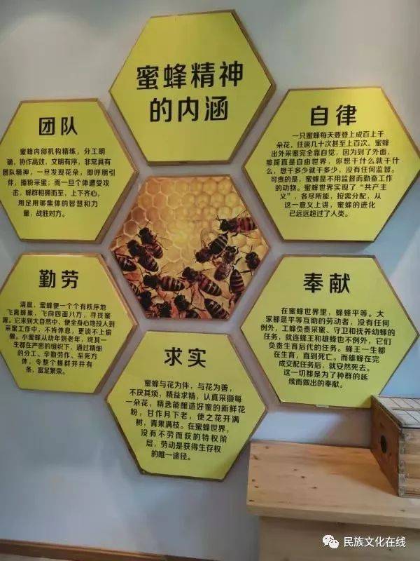 蜜蜂的身体结构图 蜜蜂身体结构图及作用