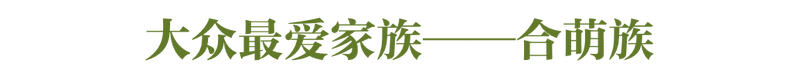 什么？花生、凉薯也算豆类？