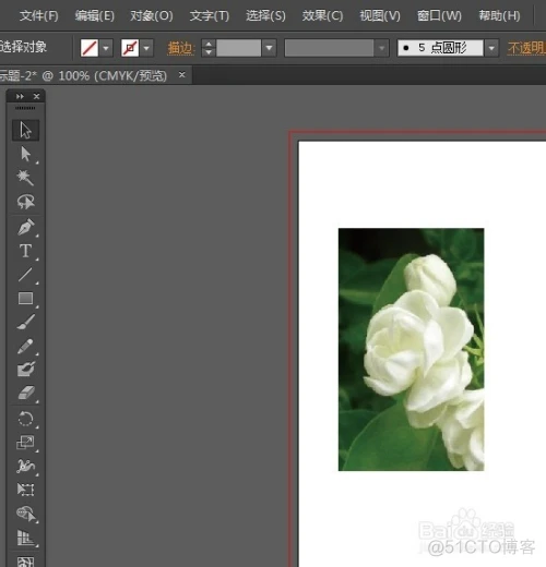 AI illustrator 如何裁剪图片（扣取局部区域）_右键_04