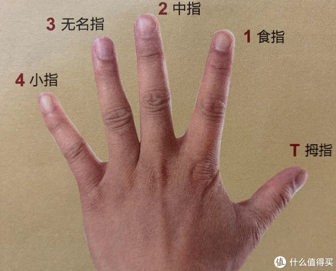 左手代号
