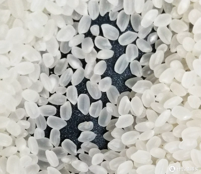 爱上十月稻田～