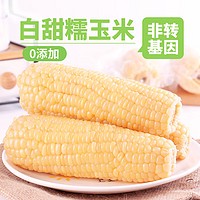 邹有才 白甜糯玉米棒660g