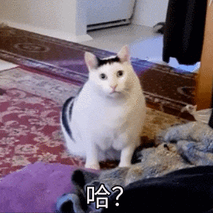 全国热门脱口秀推荐指南（十四）