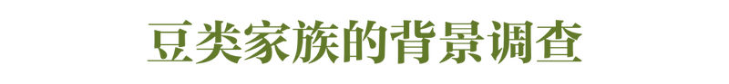 什么？花生、凉薯也算豆类？