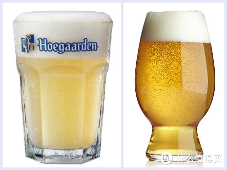 #热征##啤酒#啤酒杯的三千世界：从分类到选购