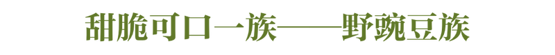 什么？花生、凉薯也算豆类？