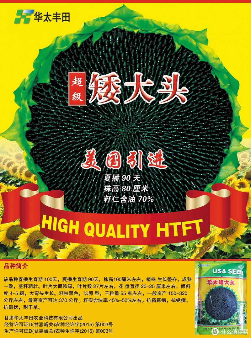 矮大头油葵（华太丰田种业）