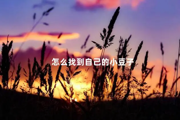 怎么找到自己的小豆子