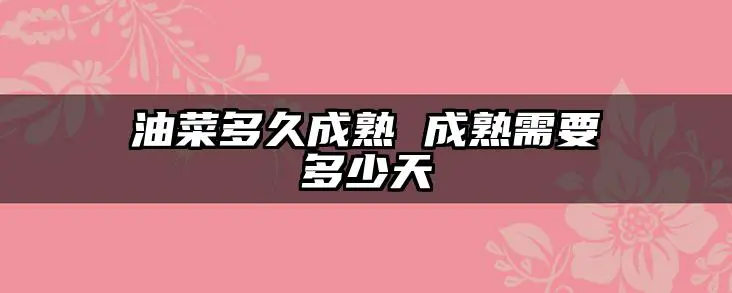 油菜多久成熟 成熟需要多少天